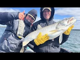 Fishing With a Under Water Camera For Lake Trout  #westinfishing (Guide Boat Walk Through)