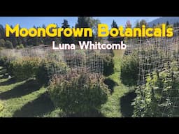 MoonGrown Botanicals: Luna Whitcomb