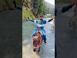 River mai Horse Riding 😍 #dushyantkukreja #shorts