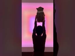 We Discovered America's First Modern Art Museum 🎨🖼️