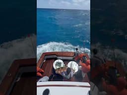 Sailfish offshore in a Sportfish yacht #fishing #offshorefishing