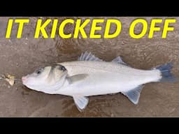 This BEACH is AMAZING❗️ CRAZY BITES EVERY CAST❗️