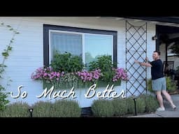 New Trellises! Totally Transformed The Front Of The House 🏡 || Visit Our Garden