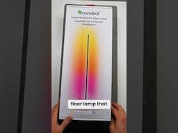 This basic feature makes Nanoleaf's floor lamp better!