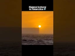 Biggest Iceberg we saw in Antarctica - Unbelievable! #shorts