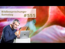 Bildbesprechung 555