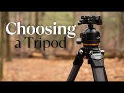 How to Pick a Tripod for Wildlife and Nature Photography | Fotopro Origin Plus Travel Tripod