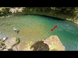 CRAZY SUMMER FISHING in CRYSTAL CLEAR RIVER [New Zealand]