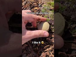 Simple trick to prevent surface roots 🌿🔥￼