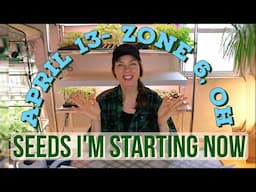 Veg, Herb & Flower Seeds to Sow in April- Zone 6