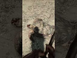 Sons of the Forest Tips and Tricks - Part 4