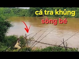 Giây Phút Nghẹt Thở, Hồi Hợp, Chờ Đợi Thu Phục Cá Tra Khủng / Câu Cá Sông Bé.