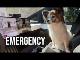What happens if you drive a Tesla during a medical emergency while out of town?
