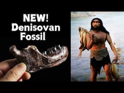 Groundbreaking NEW Study Proves Ancient Jawbone is DENISOVAN