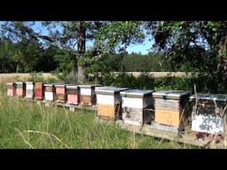 How to know when to add a honey super.