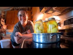 Homestead Life This Week: NEW Goat Fencing Project, Perennial Plants & Time Management Chat