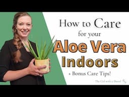 Aloe Vera Care for Beginners | Light, Water, Fertilizer + More!
