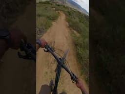 Giant Reign on Steep, Chunk, and Jumps