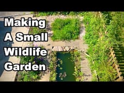 I Built A Small Wildlife Garden & So Much Wildlife Came