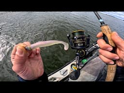 Tough Season Striped Bass Start
