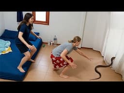 Epic Moments Gone Wrong - Must Watch!