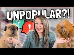 UNPOPULAR Guinea Pig Opinions! 😬🐹