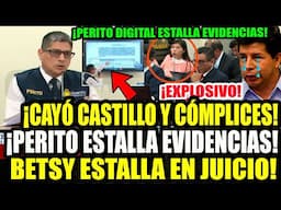 ¡CAYÓ CASTILLO Y CÓMPLICES! PERITO ESTALLA EVIDENCIAS DE ARCHIVOS EN USB DE BETSY CHAVEZ