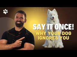 Live Q&A: Say It Once – Why Your Dog Ignores You & How to Fix It