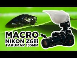 Nikon Z6iii with Super Takumar 135mm for Macro Photography