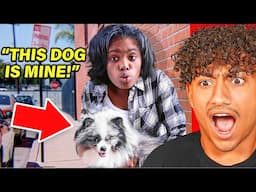 KID KIDNAPS DOG..
