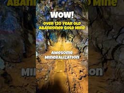 Amazing Mineralization 1889 Abandoned Gold Mine #mines #mineexploring #undergroundexploration