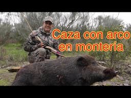 CAZA CON ARCO EN MONTERIA, bowhunting