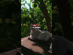 🌾Какая строчка из песни «Глубинка» вам ближе больше всего❓