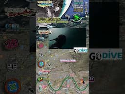 GoDive Move to CINTSA - Scattered Sardine Shoals Sighted #sardinemigration #sardinerun2025