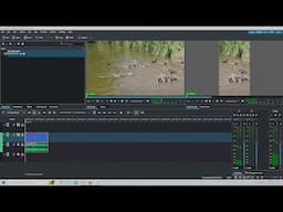 Kdenlive Tutorial: How Create Portrait Videos From Landscape Videos For YouTube Shorts.