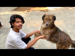 Sunny Ka Pyara Dog 🐶 - " Different ❤️ "- Rishav Vlogs