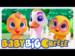 Lima Bebek Kecil Video Pembelajaran Dan Lagu Anak-Anak Prasekolah Untuk Anak-Anak