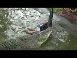 Monster Crocodile Smashes Dummy! #crocodile #crocodiledundee #gnarly #monsterhunter