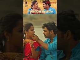 Vinipinche Paatalo by #anjanasowmya music by #chaitanyasravanthi #preminchoddu movie #shirinsriram