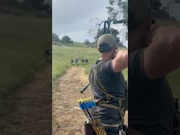 Made a great shot on this Blackbuck #archery #bowhunting