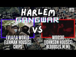 Harlem Gang War - LA World Crips (Lehman Houses) VS Wuski SMM Bloods (Johnson Houses) & Mac Ballas