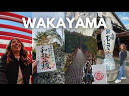 Wakayama, Japan: Places to Visit + My Journey Back to Where My Family Is From 🇯🇵 🤍