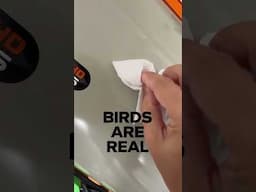 birds are real. #astrophotography