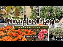 New Garden Plants | New Plant Shopping Haul | Great Garden Finds | TimBuk Farms | Plants