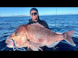 Exploring offshore Islands - Fishing Catch and Cook (Record Fish Caught)