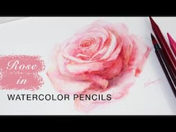 How to Paint a Pink Rose with Watercolor Pencils – Easy Step-by-Step Tutorial