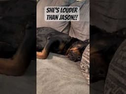 She’s LOUDER than Jason! #shorts #dog #funny