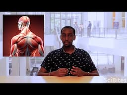 NIH SciBites: A Glimpse Into Neuromuscular Disorders