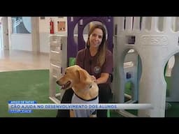 Colégio de Campinas usa cão adestrado para melhorar a sociabilidade dos alunos