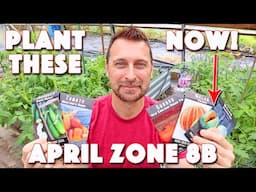 Best Vegetables To Plant In April For Zone 8b Texas!